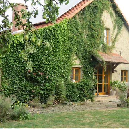 Haus Falkenhof Knullwald Ngoại thất bức ảnh